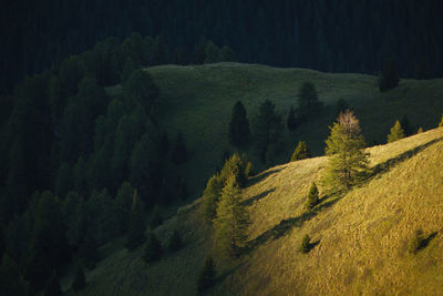 Scenic view of green hills