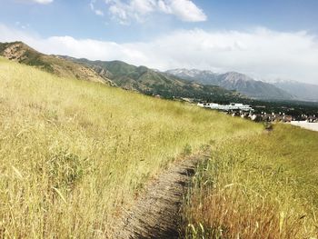 Scenic view of field against sky