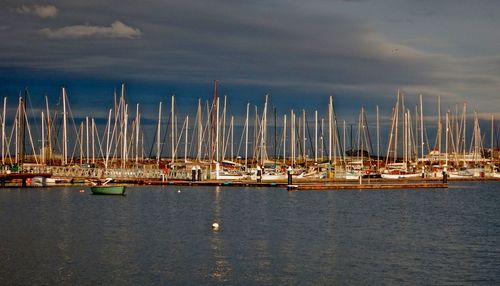 Boats in harbor