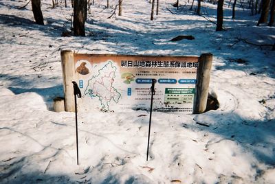 snow