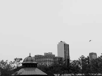 Birds in city against clear sky