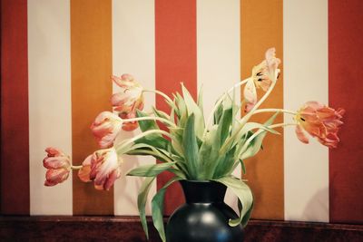 Close-up of tulip flowers in vase