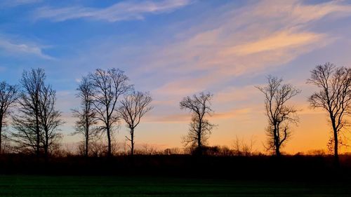 Silhouette bare trees on field against sky at sunset