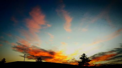 Silhouette of trees at sunset