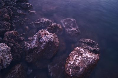 High angle view of rocks in sea