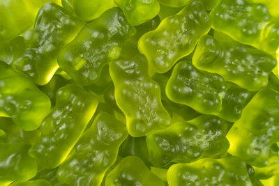 Full frame shot of green gummy bears for sale