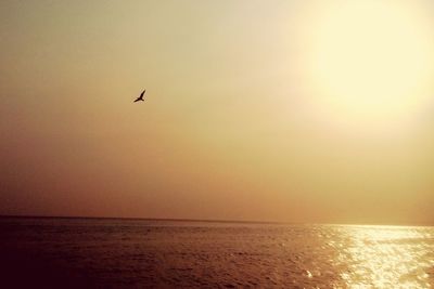 Silhouette bird flying over sea against sky at sunset