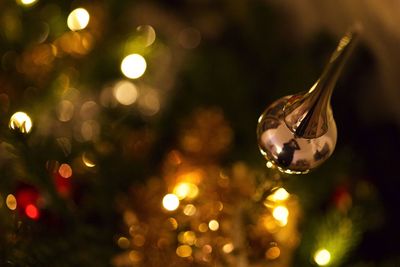 Close-up of illuminated christmas tree at night