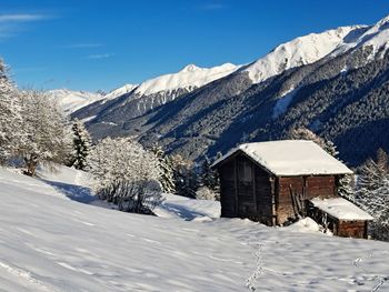 winter