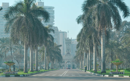 Street amidst palm trees in city against sky