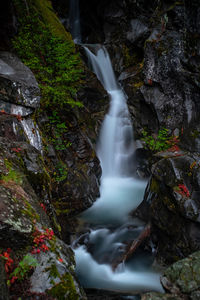 Scenic view of waterfall in forest