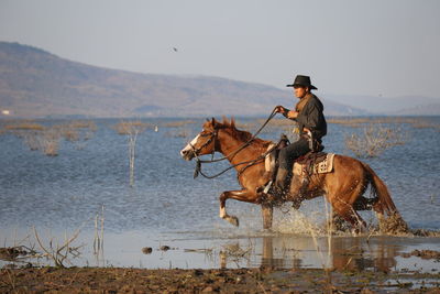 Man riding horse in lake