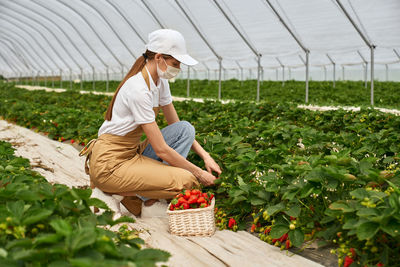Woman standing by basket in greenhouse