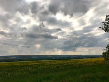 Scenic view of field against sky