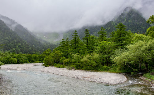 Scenic view of tree mountains against sky