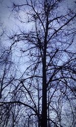 low angle view