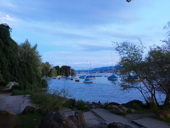 Boats moored at harbor against sky