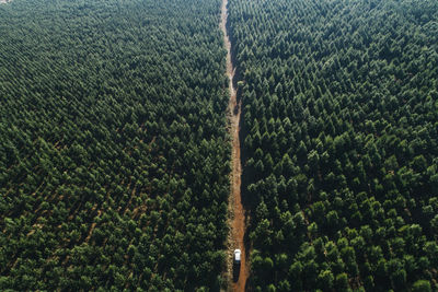 Aerial view of car moving on dirt road amidst trees at forest