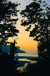 Silhouette trees by sea against sky during sunset