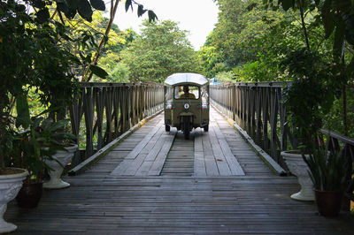 Man driving jinriksha on bridge in forest