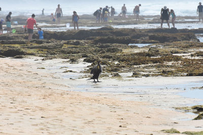 People on beach