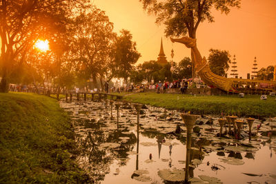 Group of people in park by lake against sky during sunset