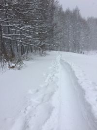 Snow covered landscape