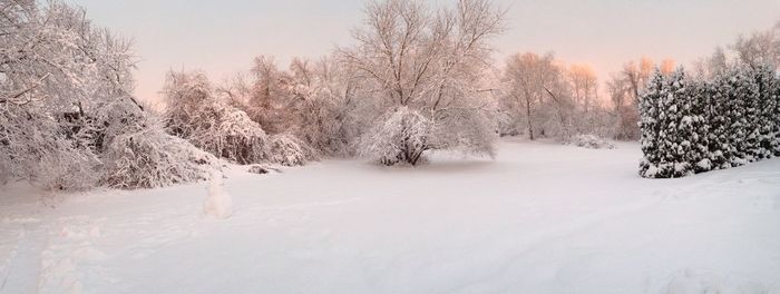 Scenic view of snow covered field