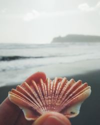 Close-up of hand holding sea against sky