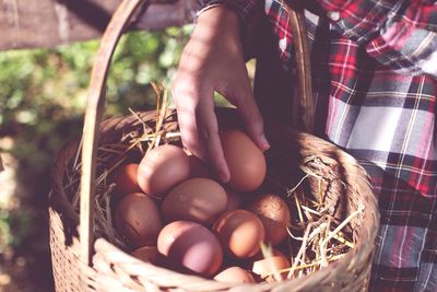 Close-up of eggs in basket