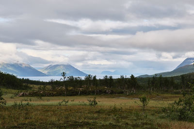 Scenic view of field against sky