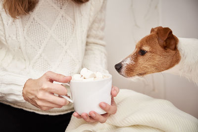 Dog drinks from coffee cup with marshmallow in a woman hands