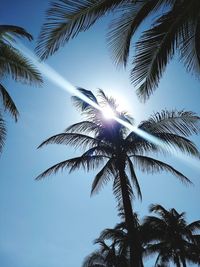 Low angle view of silhouette palm tree against sky