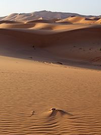 Sand dunes in a desert