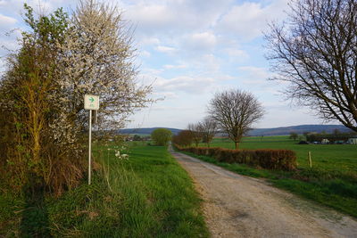 Road by trees against sky