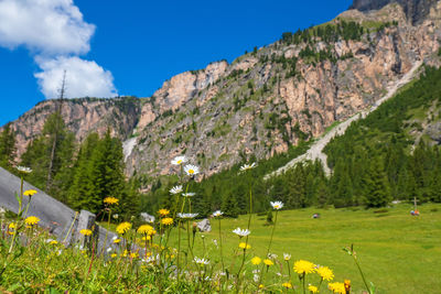 Scenic view of grassy field by mountains against sky