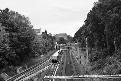 Railway tracks amidst trees against sky