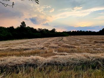 Scenic view of field against sky during sunset