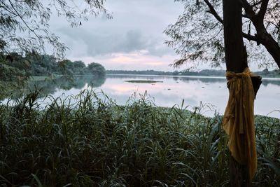 Scenic view of lake against sky