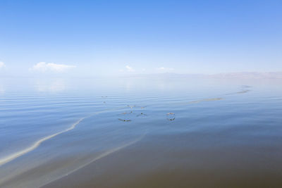 Birds skim the surface of an inland sea