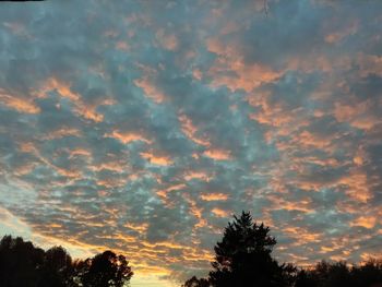 Low angle view of silhouette trees against dramatic sky