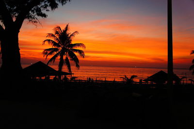 Silhouette of palm trees at sunset