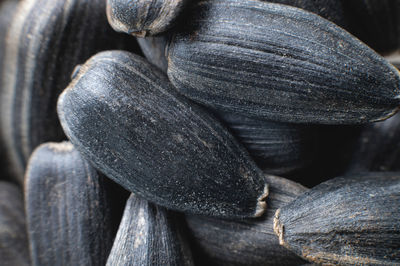 Close-up of sunflower seeds in shallow depth of field macro shot. snack food background