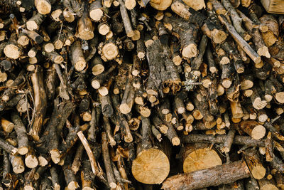 Full frame shot of logs in forest