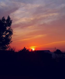 Silhouette trees against sky during sunset