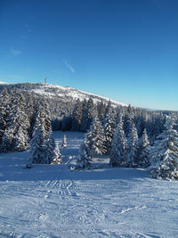 Snow covered landscape against blue sky