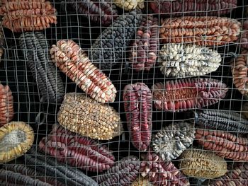 Dried corns in metal grate