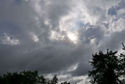 Low angle view of tree against cloudy sky