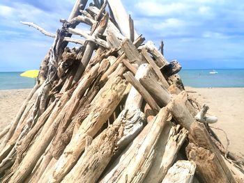 Driftwood on beach against sky