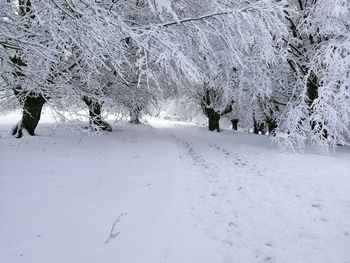 Close-up of snow against sky
